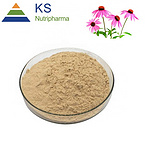 Echinacea purpurea extract Polyphenols 4%-7% #T