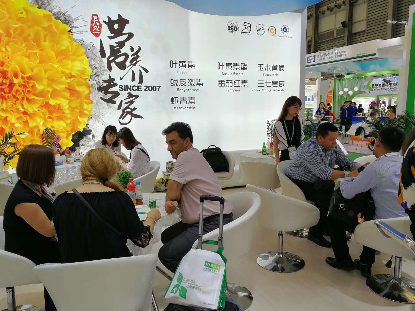 American Ginseng Extract  