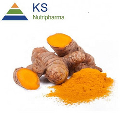 Curcumin 95% #s