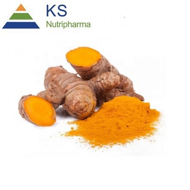 Turmeric root extract #T