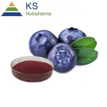 Bilberry extract 25%anthocyanin