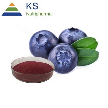 Blueberry extract