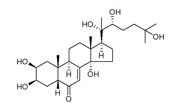 Cyanotis Arachnoidea Extract powder Ecdysterone  