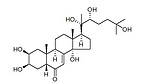 Cyanotis Arachnoidea Extract Ecdysterone 20%-98% #T