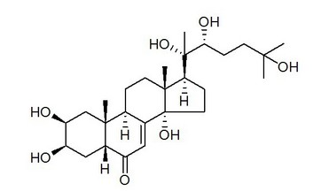 Cyanotis Arachnoidea Extract Ecdysterone 20%-98% #T