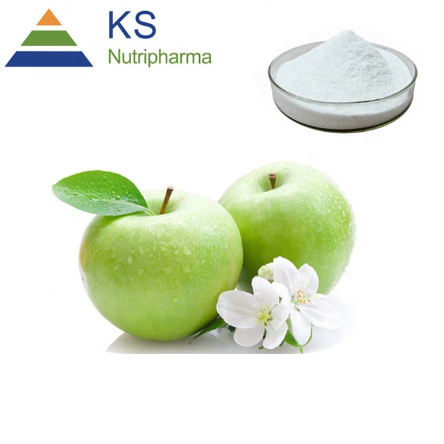 Apple extract Apple polyphenol 70% #T  