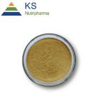 Rosemary Extract Carnosic?Acid Ursolic?Acid Rosmarinic?Acid #A