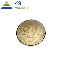 Phosphatidylserine Soybean Extract Powder #A