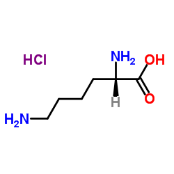 L-Lysine HCL