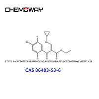 ETHYL 3-(CYCLOPROPYLAMINO)-2-(2,4-DICHLORO-5-FLUOROBENZOYL)ACRYLATE