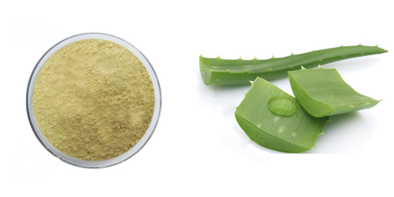 Aloe Vera Extract Powder Aloe Emodin #A  