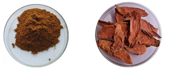 Rhodiola Rosea Extract Salidroside Rosavins #A  