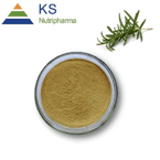 Rosemary Extract Carnosic Acid Ursolic Acid Rosmarinic Acid