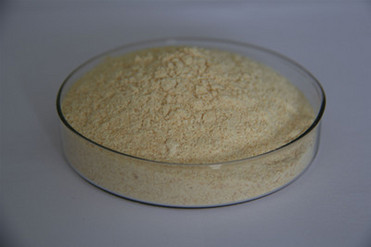Soybean Extract Powder Phosphatidylserine #A