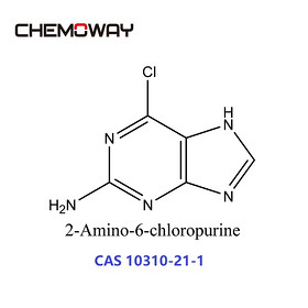 2-Amino-6-chloropurine(10310-21-1)