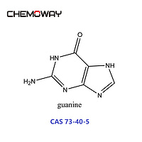 guanine (73-40-5) 2-AMINO-6-PURINOL, 2-AMINOHYPOXANTHINE