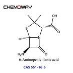 6-Aminopenicillanic acid (551-16-6) 6-APA