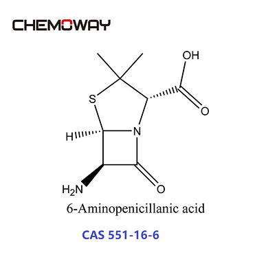 6-Aminopenicillanic acid (551-16-6) 6-APA