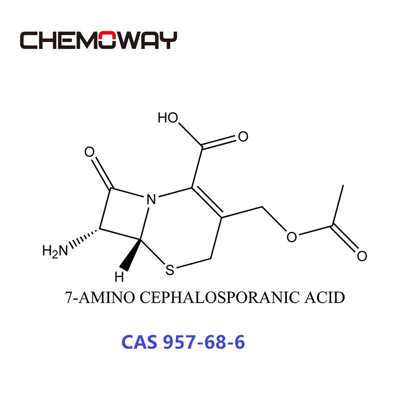 7-AMINO CEPHALOSPORANIC ACID (957-68-6) 7-ACA