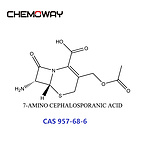 7-AMINO CEPHALOSPORANIC ACID (957-68-6) 7-ACA