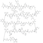 Amyloid β-Protein (40-1)