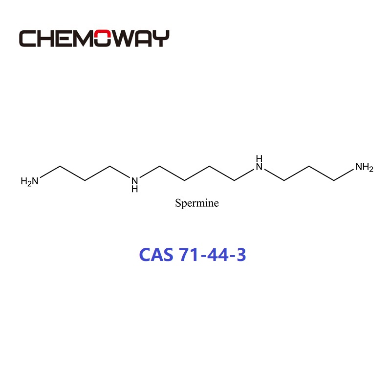 Spermine(71-44-3) GERONTINE TETRAHYDROCHLORIDE; MUSCULAMINE HYDROCHLORIDE