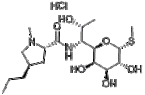 lincomycin