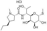 lincomycin