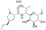 lincomycin