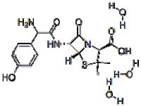 amoxycillin trihydrate