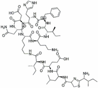 Bacitracin Methylene Disalicylate  Premix