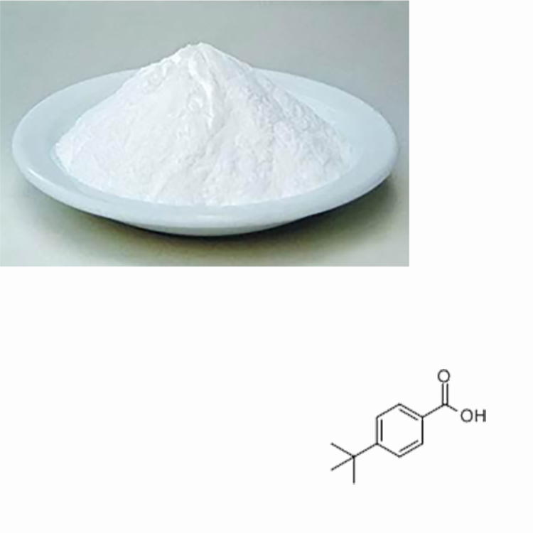 4-tert-Butylbenzoic acid  