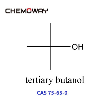 tertiary butanol(75-65-0)