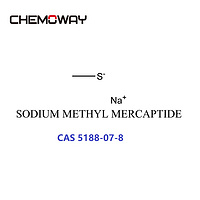 SODIUM METHYL MERCAPTIDE(5188-07-8)Sodium thiomethoxide;METHANETHIOL SODIUM SALT