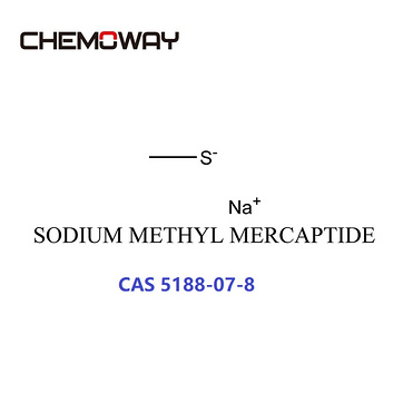 SODIUM METHYL MERCAPTIDE(5188-07-8)Sodium thiomethoxide;METHANETHIOL SODIUM SALT