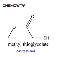 methyl thioglycolate（2365-48-2）