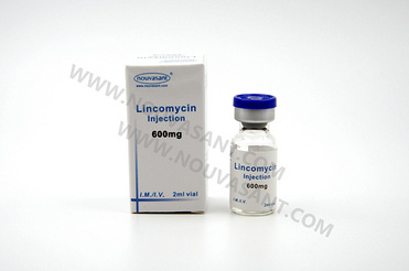 Lincomycin Injection 600mg