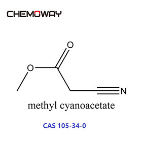 methyl cyanoacetate（105-34-0）