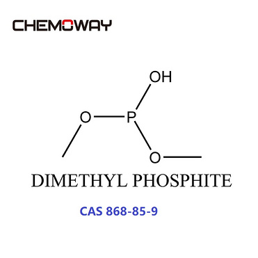 DIMETHYL PHOSPHITE (868-85-9) dimethyl phosphonate