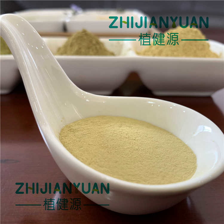 Carnosic acid 98%  
