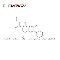 NORFLOXACIN HCl（104142-93-0）1-Ethyl-6-fluoro-1,4-dihydro-4-oxo-7-(1-piperazinyl)-3-quinolinecarboxyl
