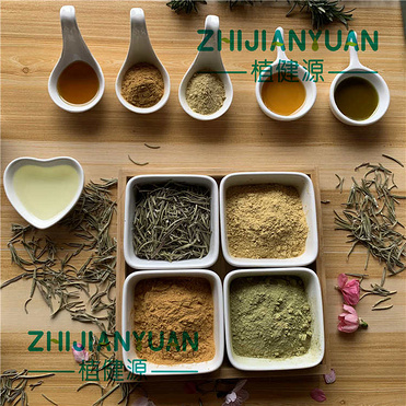 Carnosic acid 20%