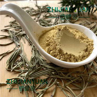 Rosemary Extract Carnosic Acid 20%