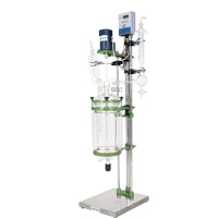 Jacketed Glass Reactor 5L