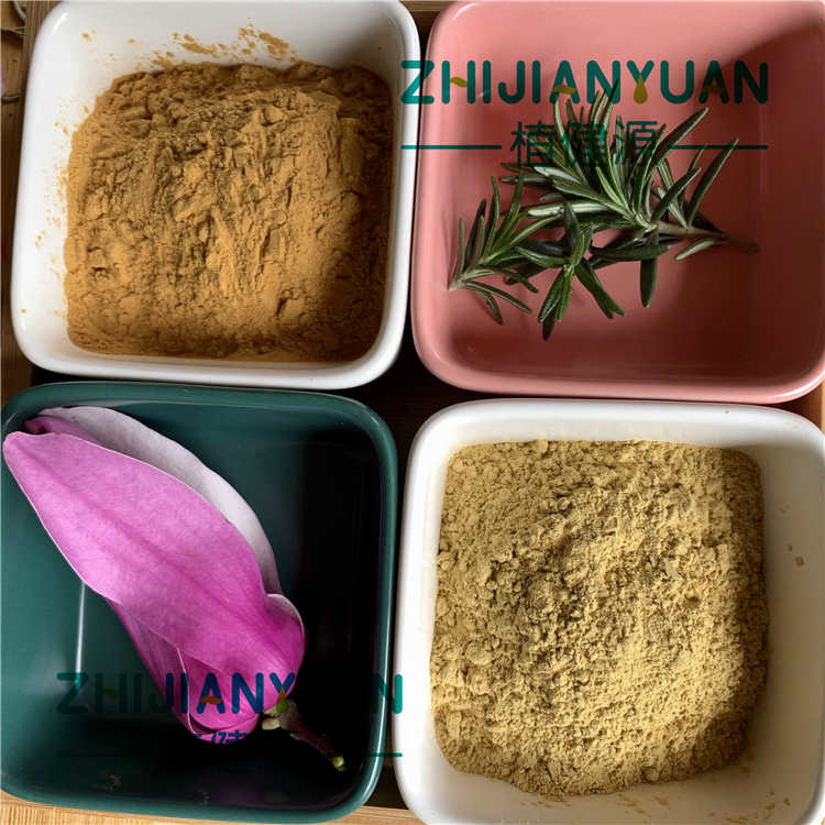Rosemarinic Acid 35%  
