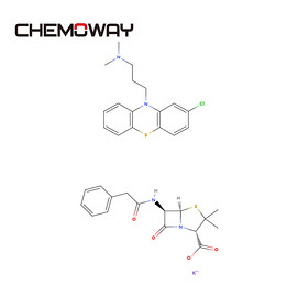 benzylpenicillin potassium（113-98-4）POTASSIUM PEN G