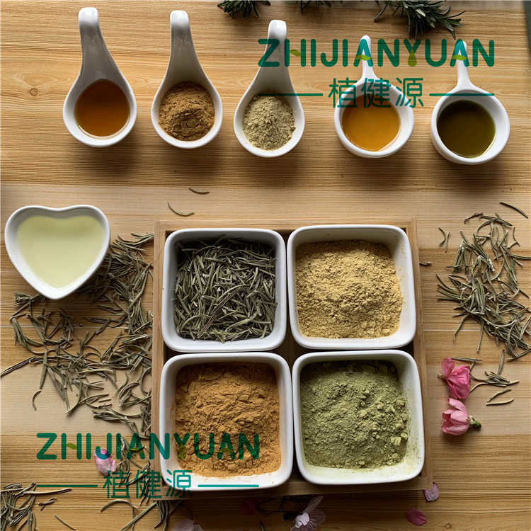 Rosemary Extract Rosemarinic Acid  
