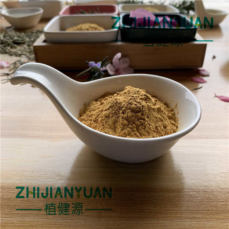 Rosemary Extract Rosemarinic Acid  