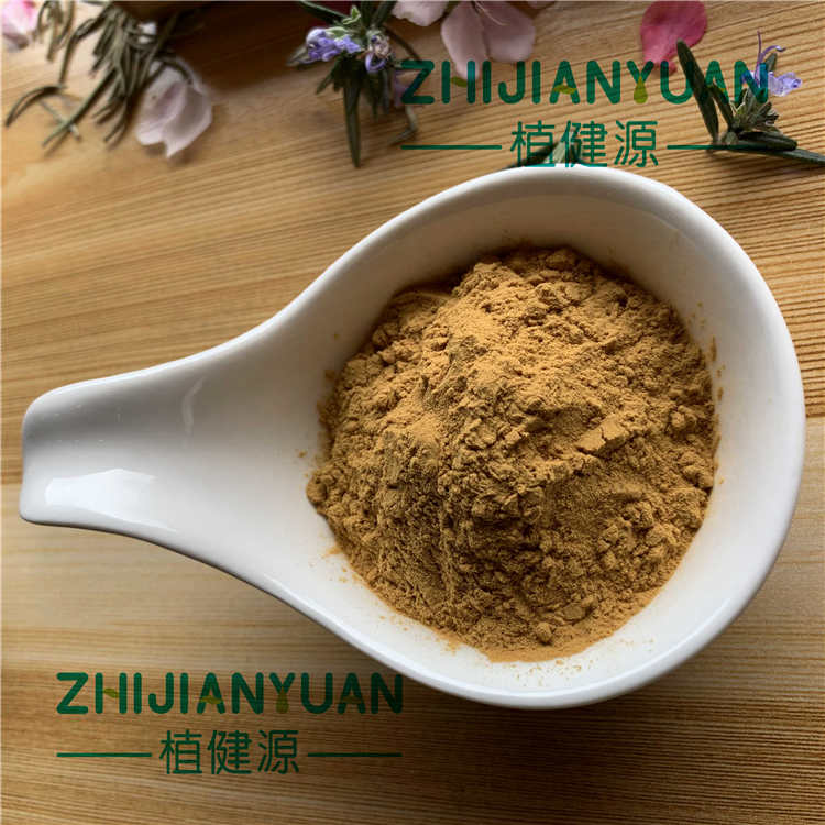 Rosemary Extract Rosemarinic Acid  