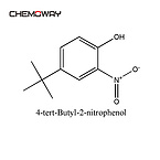 4-tert-Butyl-2-nitrophenol（3279-07-0）